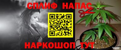 ГАЛЛЮЦИНОГЕННЫЕ ГРИБЫ Владимир