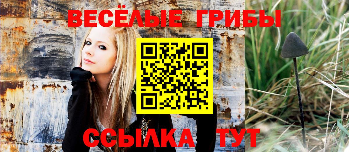 Псилоцибиновые грибы MAGIC MUSHROOMS Новосибирск